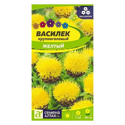  Василек Желтый Крупноголовый СА 