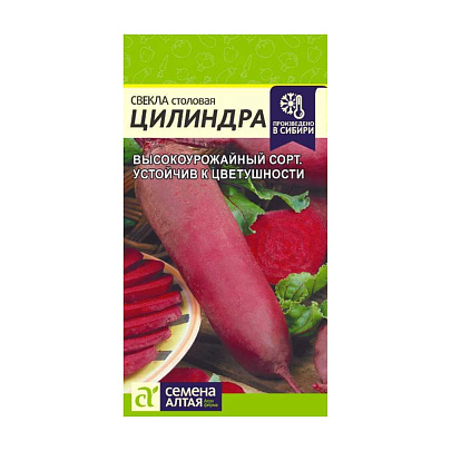 Свекла Цилиндра СА Свекла Цилиндра СА