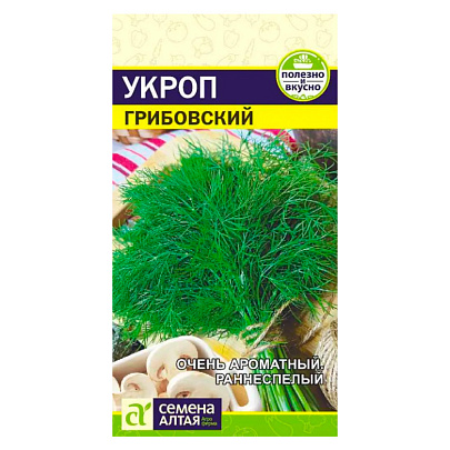  Укроп Грибовский СА 2 гр. 