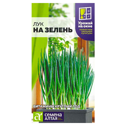 Лук на зелень СА 0,5 гр. Лук на зелень СА 0,5 гр.
