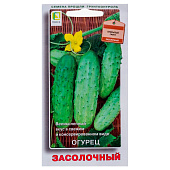  Огурец Засолочный 15шт, Поиск 