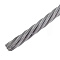  Трос стальной DIN 3055  1мм  (20 м) 