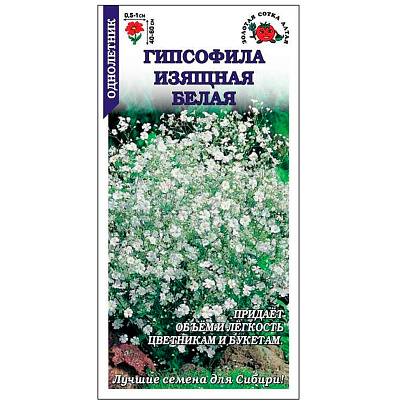 Гипсофила Изящная белая , ЗС Гипсофила Изящная белая , ЗС