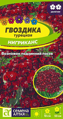  Гвоздика турецкая Нигриканс СА 