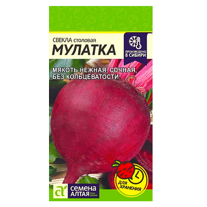 Свекла Мулатка СА 2 гр. Свекла Мулатка СА 2 гр.