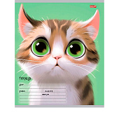  Тетрадь 12л линия Мультяшный котик обл. цв. мел. 5 диз. (25/250) /12-5573/ 