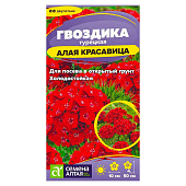Гвоздика Турецкая Алая красавица СА Гвоздика Турецкая Алая красавица СА