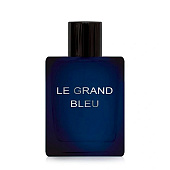 Туалетная вода Dilis Parfum Le Grand Bleu мужская, 100 мл Туалетная вода Dilis Parfum Le Grand Bleu мужская, 100 мл