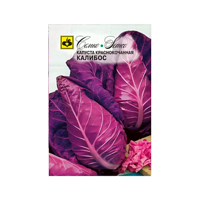 Капуста краснокоч Калибос, 0,1 гр. , Семко Капуста краснокоч Калибос, 0,1 гр. , Семко
