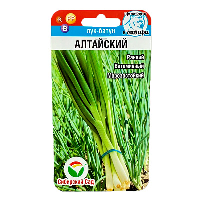  Лук батун Алтайский, СибСад 